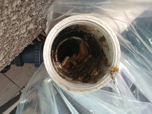 단원구 하수구막힘 성곡동 하수구막힘, 직접 겪은 전후 변화와 점검 기준